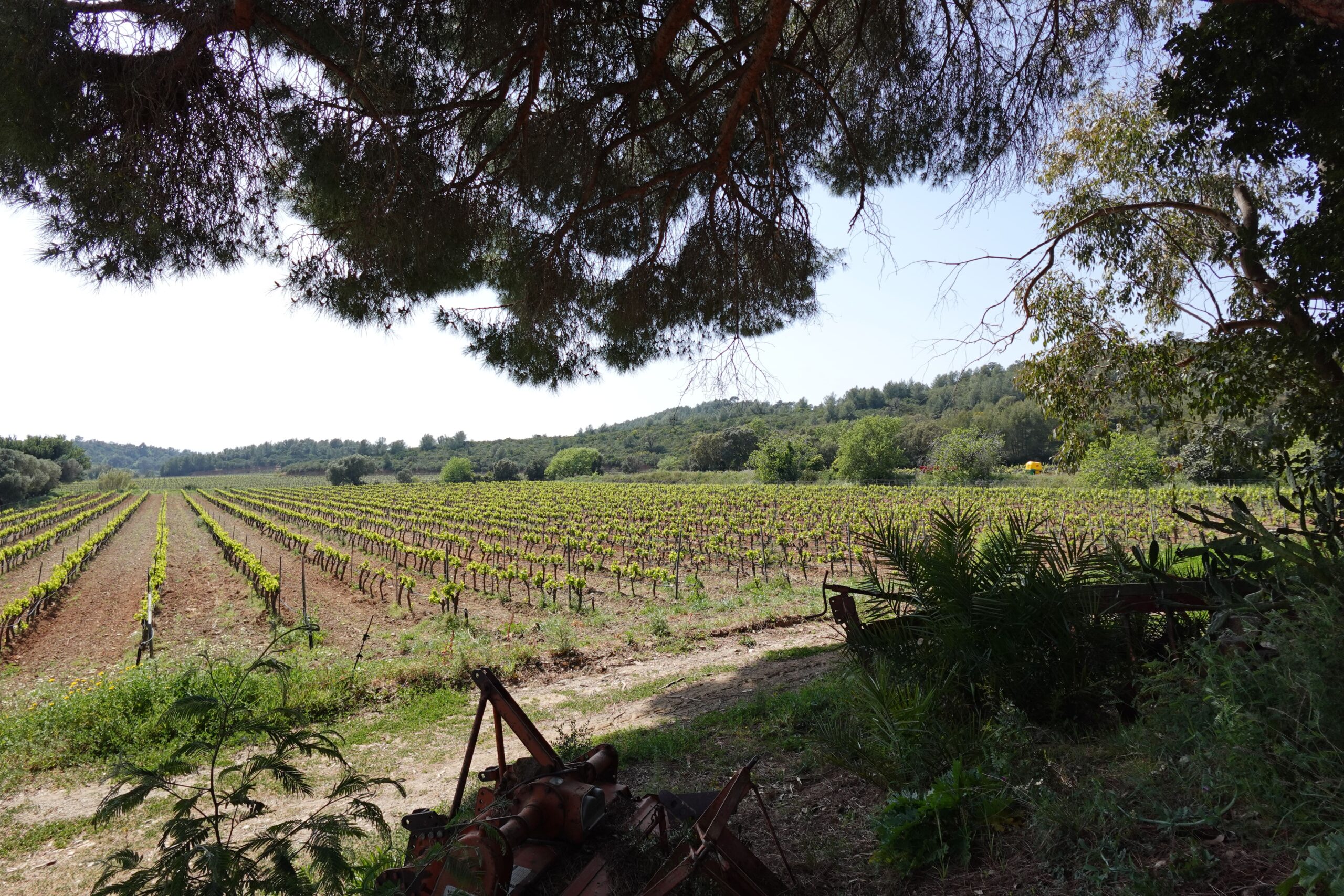 Domaine 2 – Manon Mathieu