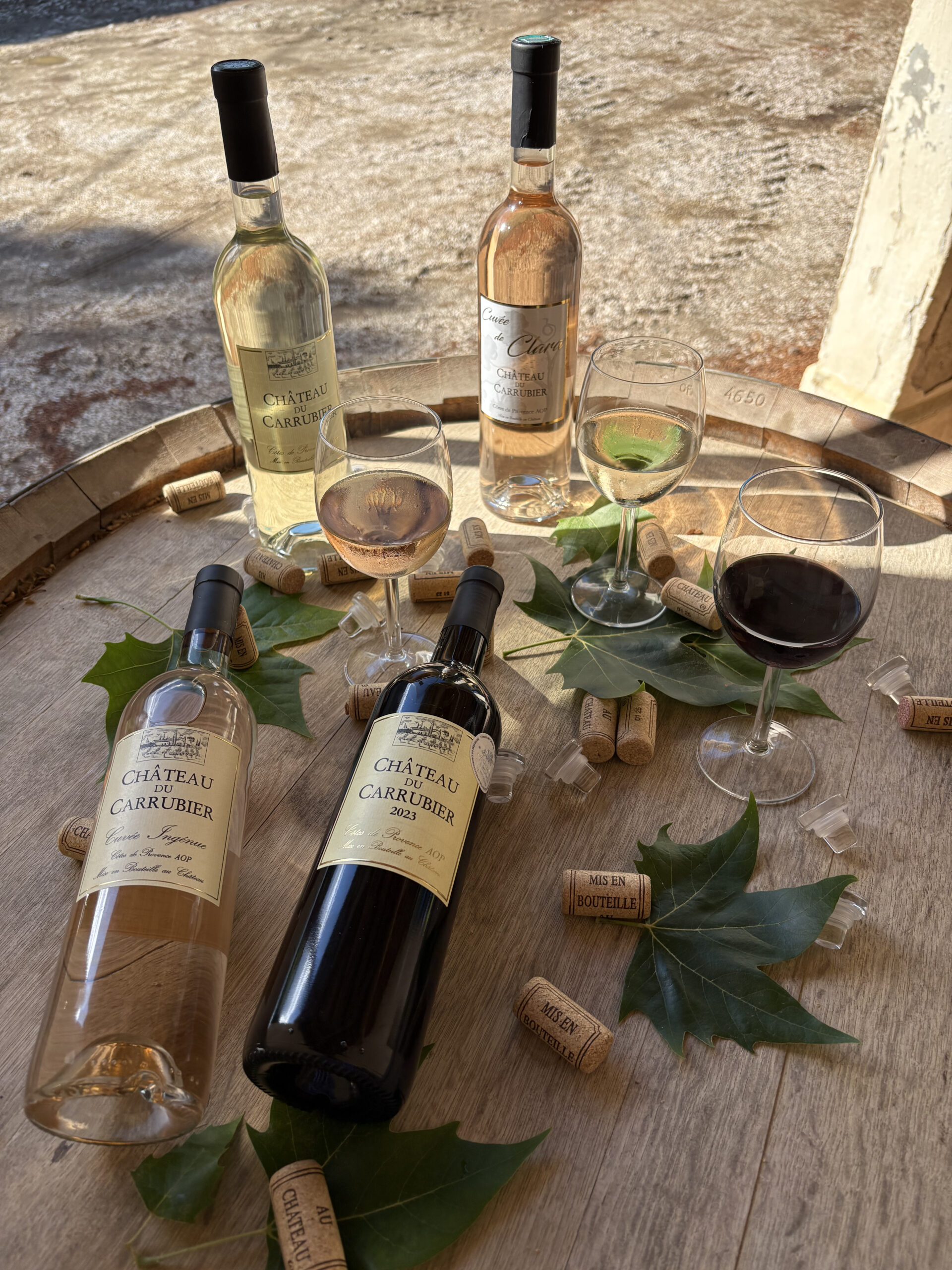 Vins – Manon Mathieu